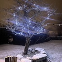 9573 - EXTENSION - Water Fall 120 LEDS (Progressif) - Ht. 1,80 m x 20 cm -  Fil Noir - Blanc Froid 6500°K